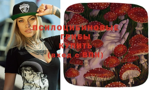 винт Заволжье
