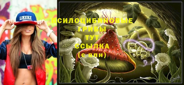 марки lsd Елабуга