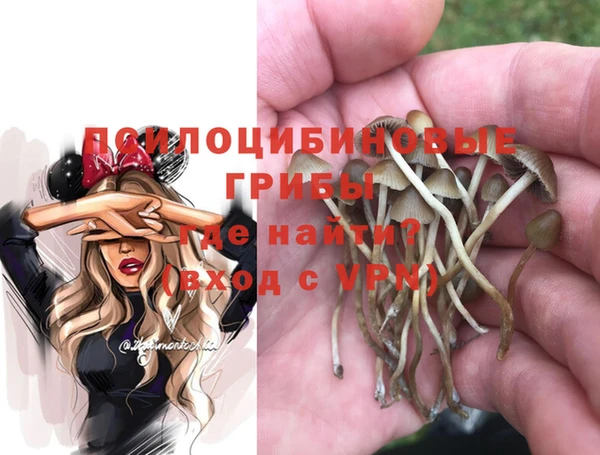 дживик Усмань
