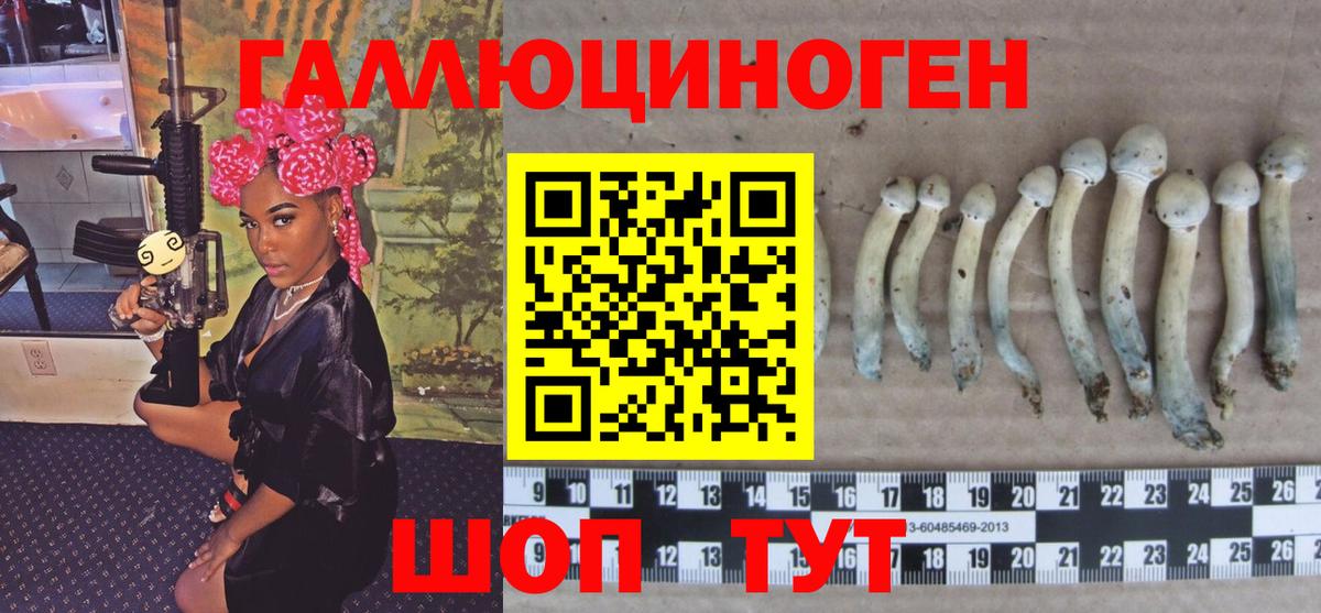 Кимовск  Галлюциногенные грибы GOLDEN TEACHER  Вход с VPN  Псилоцибиновые грибы GOLDEN TEACHER 
