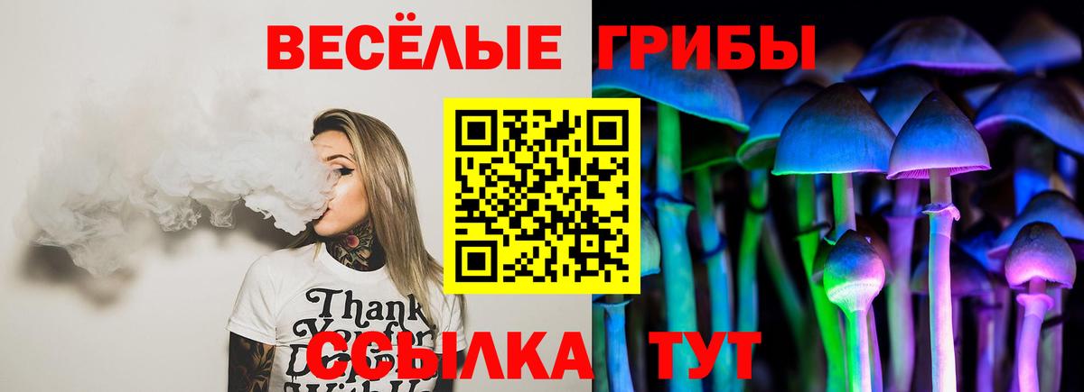 Галлюциногенные грибы MAGIC MUSHROOMS Кимовск