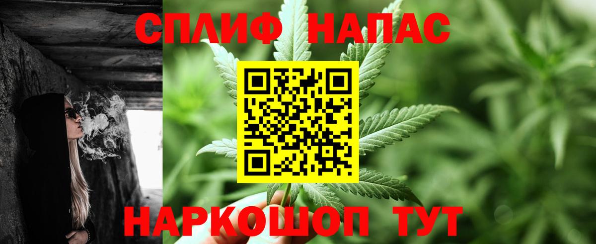 МАРИХУАНА сатива Кимовск
